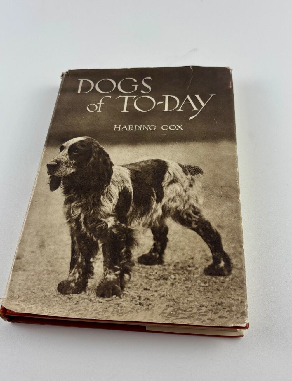 Dogs of To-Day by Harding Cox Vintage 1931 Hardcover w/ Dust Jacket  Dog Bree